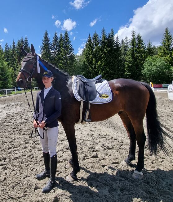 Liebenswerter Dressurwallach, Patricia , Horses For Sale, Tarrenz 