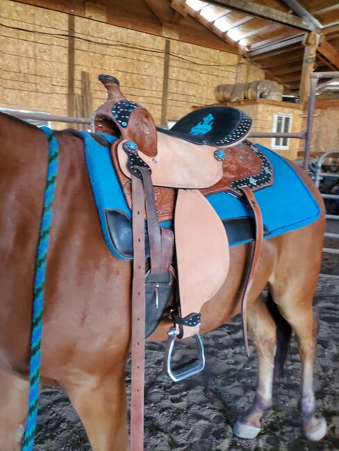 Like New Barrel Saddle, Tough 1 Cheyanne, Stephanie Kirk, Western Saddle, Baker city, Image 6