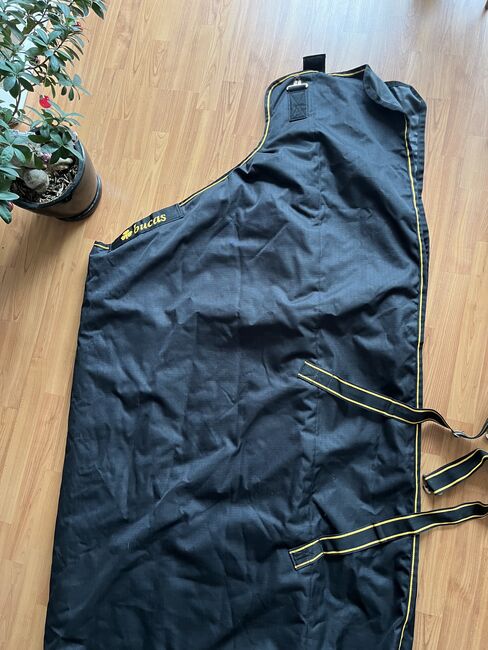 wie neu: Bucas Irish Turnout extra 300g - Grösse 165 - black-gold, Bucas Irish Turnout extra 300g black-gold Grösse 165, Helena , Horse Blankets, Sheets & Coolers, Krefeld, Image 12