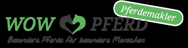 Lilius, Hannoveraner, Wallach, 20 Jahre, Brauner, WOW Pferd  (WOW Pferd), Horses For Sale, Bayern - Attenkirchen, Image 10