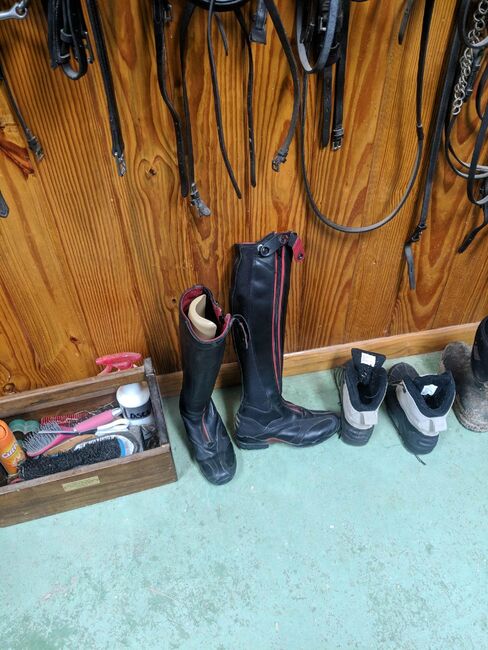 Limited edition tall boots, Ariat  Volant , Kaitlin Hall, Oficerki jeździeckie, Brownsboro , Image 3