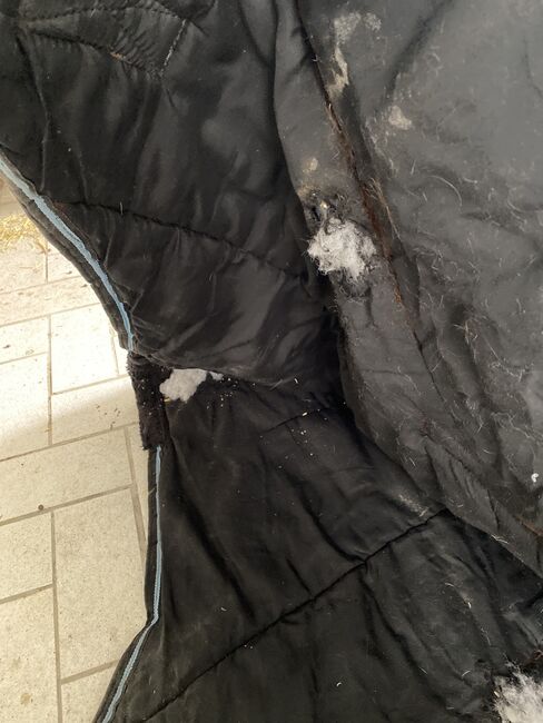 Gefütterte winterdecke 145cm, Sarah, Horse Blankets, Sheets & Coolers, Drolshagen , Image 4