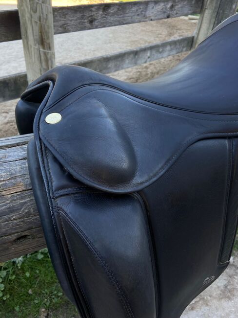 Lipperthof Deluxe, Lipperthof  Deluxe , Steffi , Icelandic Saddle, Steyr, Image 4