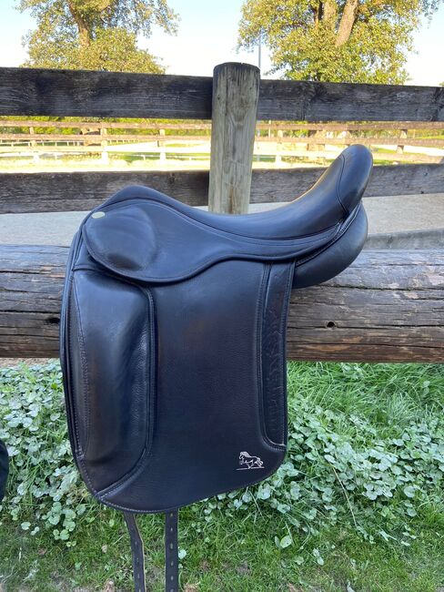 Lipperthof Deluxe, Lipperthof  Deluxe , Steffi , Icelandic Saddle, Steyr, Image 5