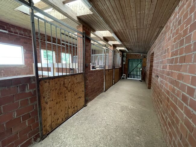 Kleine Stall Anlage komplett zu verpachten 5 pferdeboxen, Jesse, Equestrian Properties, Kirchlengern