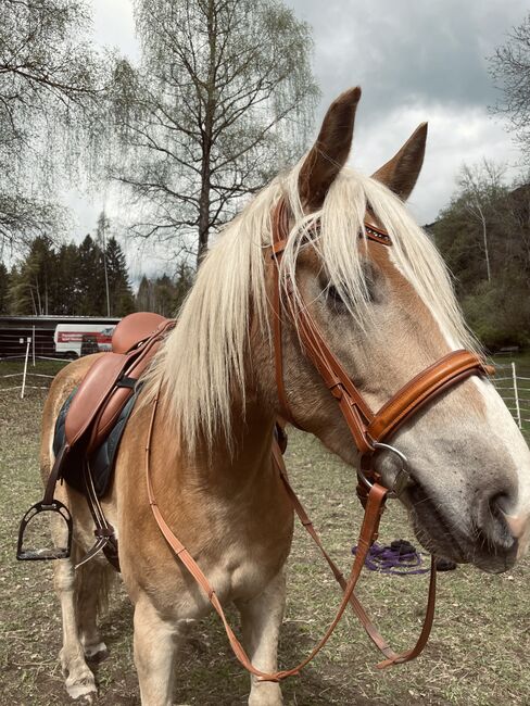 LM Signature Hidalgo Dressursattel, Michelle Flaumitsch, Dressage Saddle, Matschiedl , Image 9