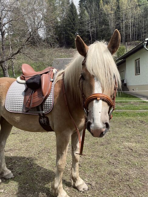 LM Signature Hidalgo Dressursattel, Michelle Flaumitsch, Dressage Saddle, Matschiedl , Image 8