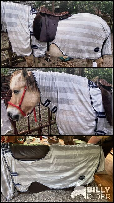 Fliegen-Reitdecke v. Loesdau mit Halsteil, Loesdau, Uli Moellmann, Horse Blankets, Sheets & Coolers, Holtland , Image 4