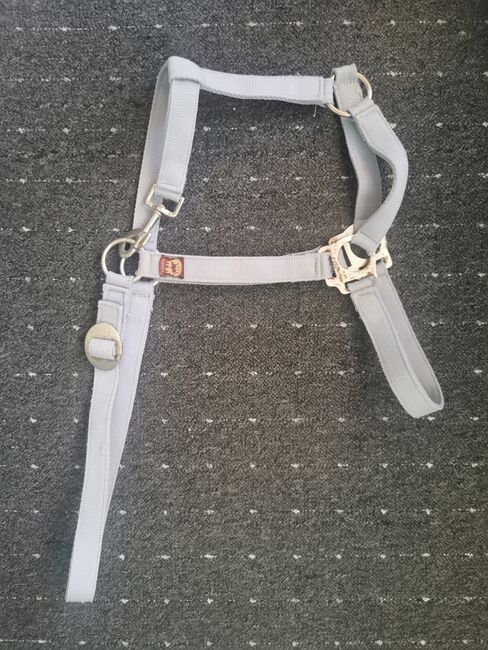 Loesdau Halfter, Loesdau , Daniela Cardoso, Halters, Neubiberg