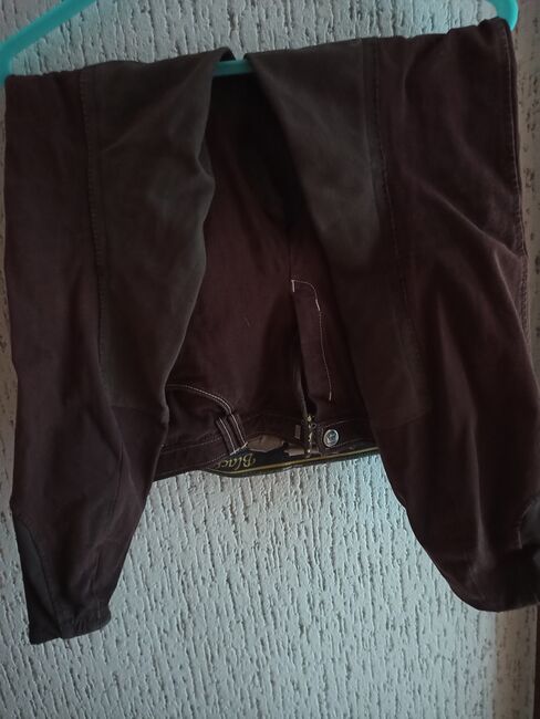 Loesdau Reithose Damen, Loesdau Reithose, Sophie Bauer, Breeches & Jodhpurs, Wolfstein, Image 10