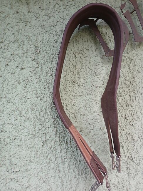 Langgurt (für Spring oder Vielseitigkeitssattel), Prestige, Fiona , Girths & Cinches, Laufen