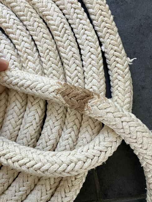 Longe beige 6,50 m, Verena 🐎 , Longieren, Rhens, Abbildung 2