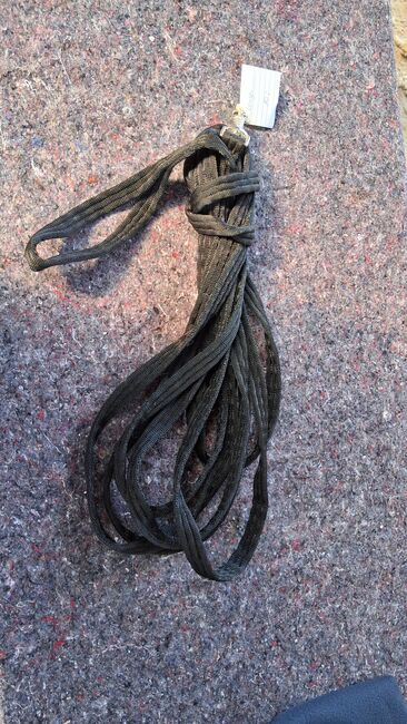 Longe in Schwarz, Melissa, Longieren, Thedinghausen 