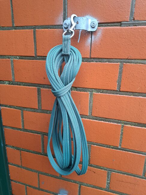 Longe so gut wie neu, Kerstin , Bodenarbeit, Schwanewede 