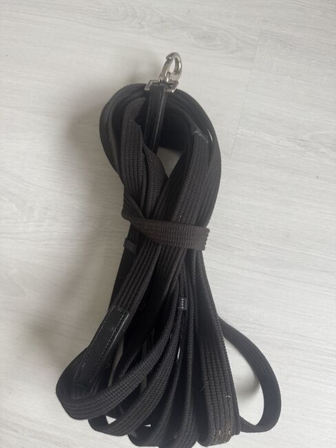 Longe mit Stoppern, Celine Baum, Longieren, Taunusstein 