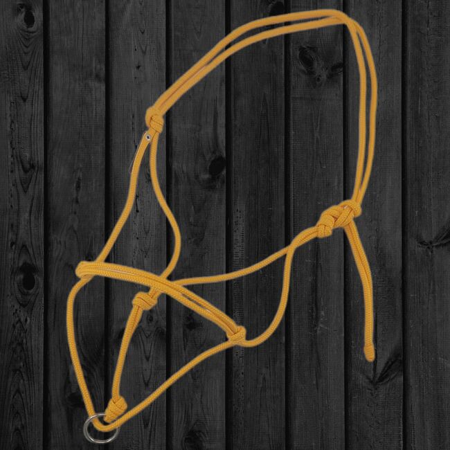 Longierknotenhalfter mit Ring COB in Ocker, Maya (Swisshorseshop), Halters, Frauenfeld