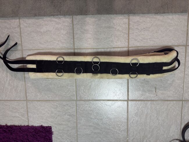 Longiergurt mit Gurt, Krämer, Sophia, Lunging, Eisenberg (Pfalz)