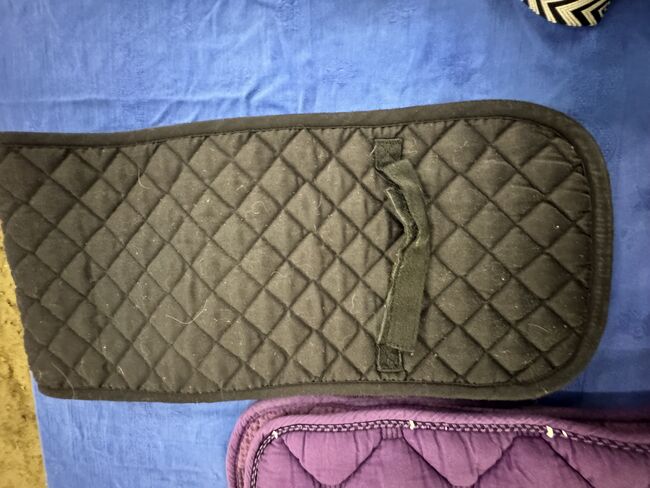 Longier Pad, Heike, Longieren, Alsbach-Hähnlein