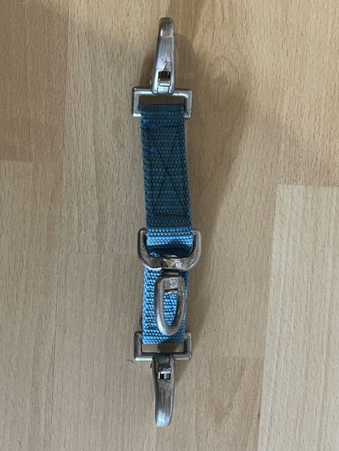 Longierbrille blau, Lisa Sauerzweig, Longieren, Troisdorf 