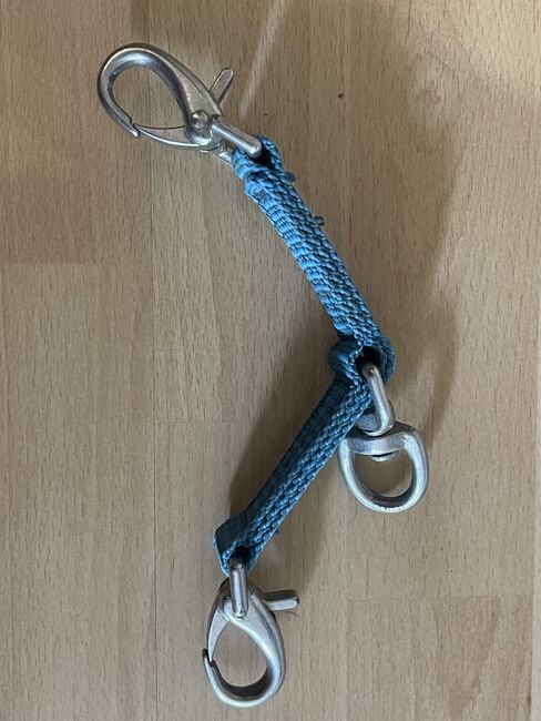 Longierbrille blau, Lisa Sauerzweig, Longieren, Troisdorf , Abbildung 2