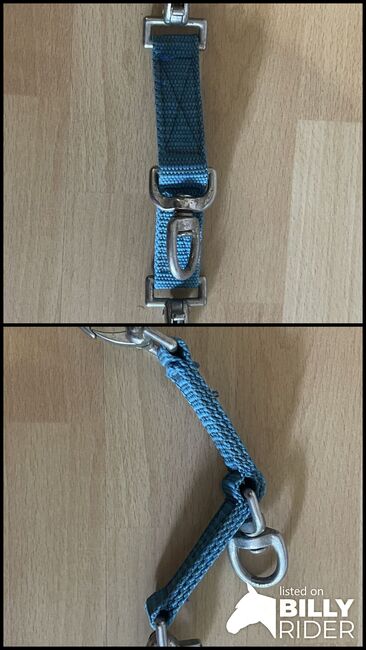Longierbrille blau, Lisa Sauerzweig, Longieren, Troisdorf , Abbildung 3