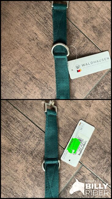 Longierbrille unbenutzt, Lawrenz, Longieren, Hamminkeln, Abbildung 3