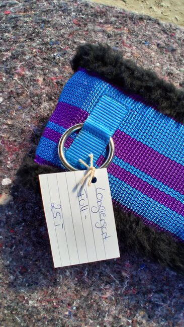 Longiergurt in Full, Melissa, Longieren, Thedinghausen 