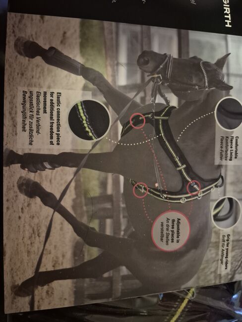 Longiergurt von IMPERIAL RIDING HOLLAND B.V., Imerial Riding Holland B.V Innovative Lunging Girth, Sabine , Longieren, München