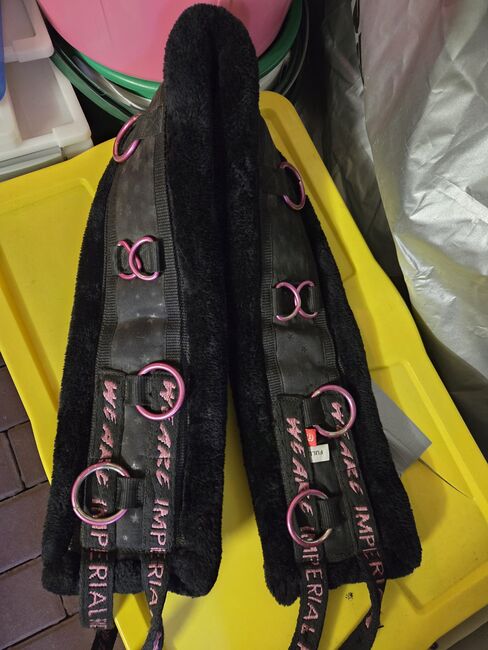 Longiergurt Imperial Riding WB pink, Katja, Longieren, Halle (Saale)
