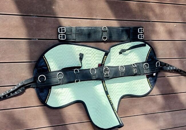 Longiergurt weich gepolstert incl. Schabracke, Gr.Full, Simone Claridge, Longieren, Oberhaching