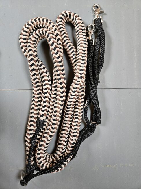 Longierhilfe, Hannah, Hilfszügel, Biederitz