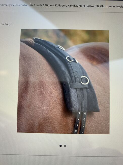 Longiergurt Unterlage von Waldhausen Memory Schaum, Waldhausen , Bernadette Bauer, Lunging, Rodgau, Image 9