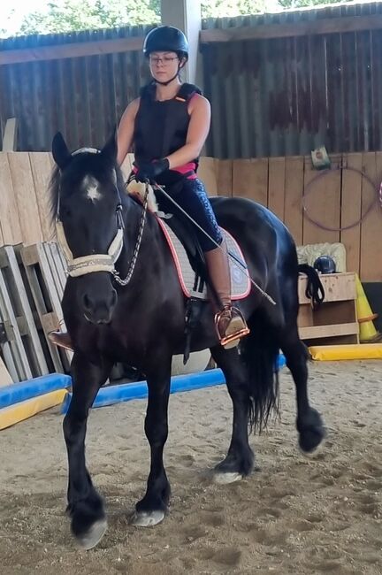 Suche eine Pflege/Reitbeteiligung für meine liebe Friesenstute Mon, Laura, Horse Sharing, Straden, Image 6