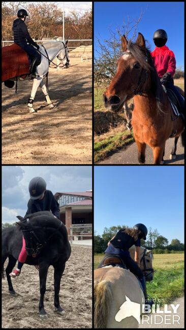 Suchen zuverlässiges Pony, Sandra, Horses For Sale, Algermissen, Image 6
