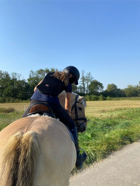 Suchen zuverlässiges Pony, Sandra, Horses For Sale, Algermissen, Image 2