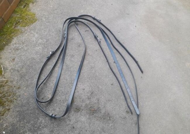 Ausbinder Laufzügel, 4HORSES , Tabea, Training Aids, Heuchelheim