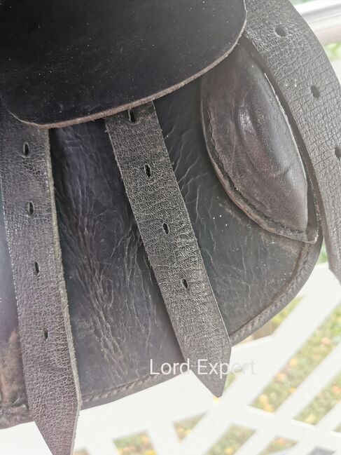 Lord Expert VS 15", Lord Expert, Andrea, All Purpose Saddle, Büdingen , Image 2