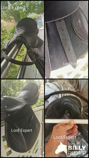 Lord Expert VS 15", Lord Expert, Andrea, All Purpose Saddle, Büdingen , Image 10