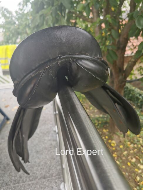 Lord Expert VS 15", Lord Expert, Andrea, All Purpose Saddle, Büdingen , Image 5