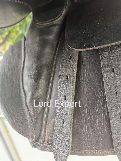 Lord Expert VS 15", Lord Expert, Andrea, All Purpose Saddle, Büdingen , Image 7