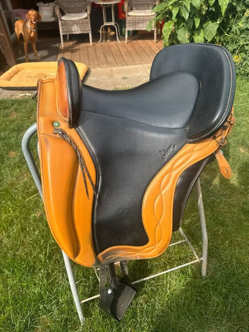 Ludomar Argos, Ludomar Argos, Micha, Endurance Saddle, Linsengericht