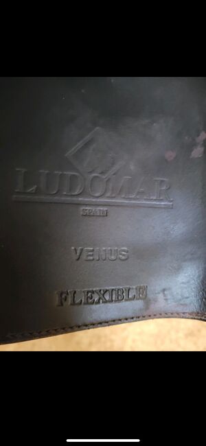 Ludomar Barocksattel, Ludomar Venus, Böttner, Baroque Saddle, Osterholz-Scharmbeck, Image 4