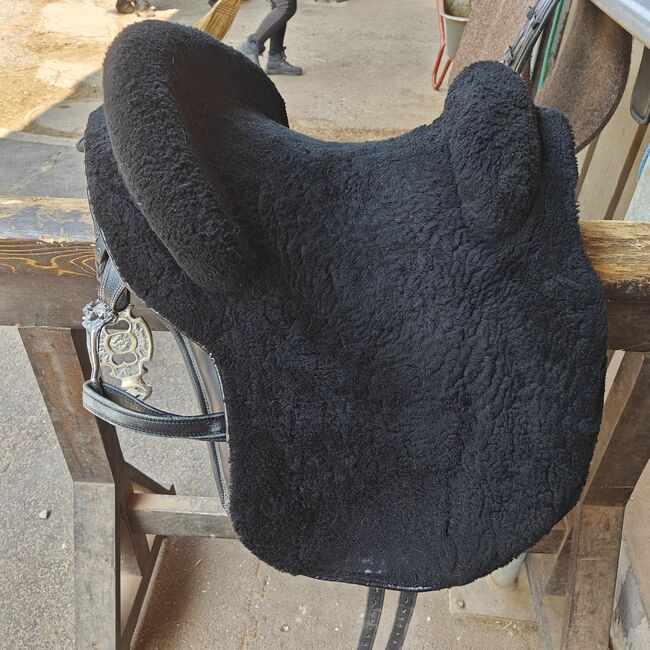 Ludomar Flexible, Ludomar  Flexible , Janine Zaugg , Baroque Saddle, Cham, Image 5