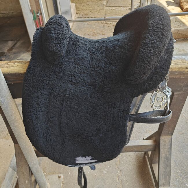 Ludomar Flexible, Ludomar  Flexible , Janine Zaugg , Baroque Saddle, Cham, Image 6