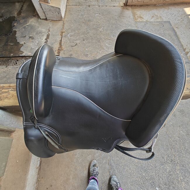 Ludomar Flexible, Ludomar  Flexible , Janine Zaugg , Baroque Saddle, Cham, Image 4