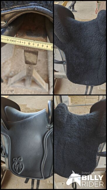 Ludomar Flexible, Ludomar  Flexible , Janine Zaugg , Baroque Saddle, Cham, Image 9