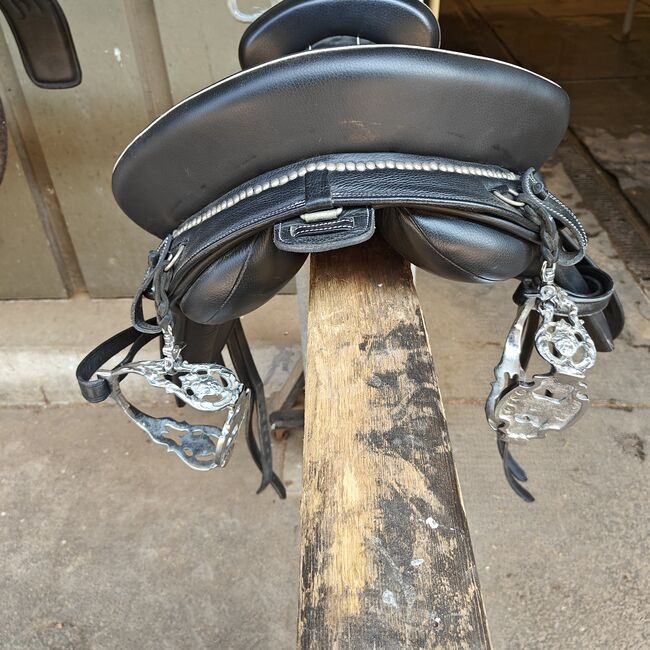Ludomar Flexible, Ludomar  Flexible , Janine Zaugg , Baroque Saddle, Cham, Image 3