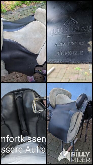 Ludomar alta Escuela flexible Deluxe, Ludomar  Alta Escuela flexible Deluxe , Andrea, Baroque Saddle, Büdingen , Image 15