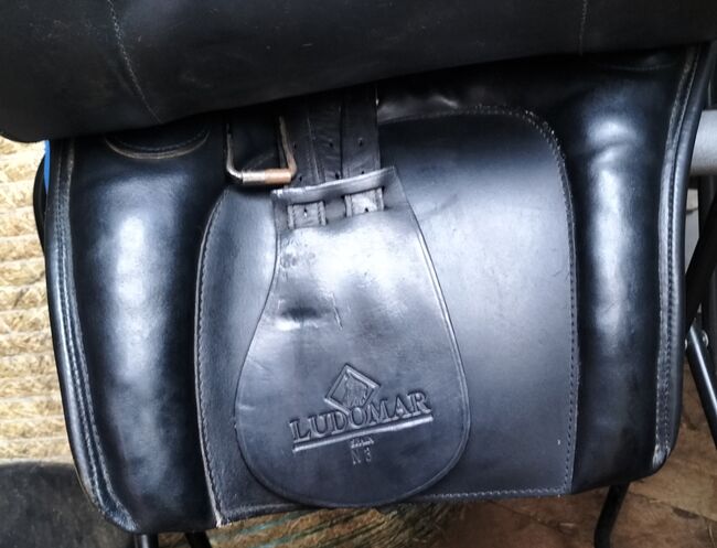Ludomar Portuguesa spanisch, portugiesischer Stierkampf Sattel Kaltblut, Ludomar Ludomar Portuguesa Mixta, Marion , Baroque Saddle, Bolsterlang , Image 6
