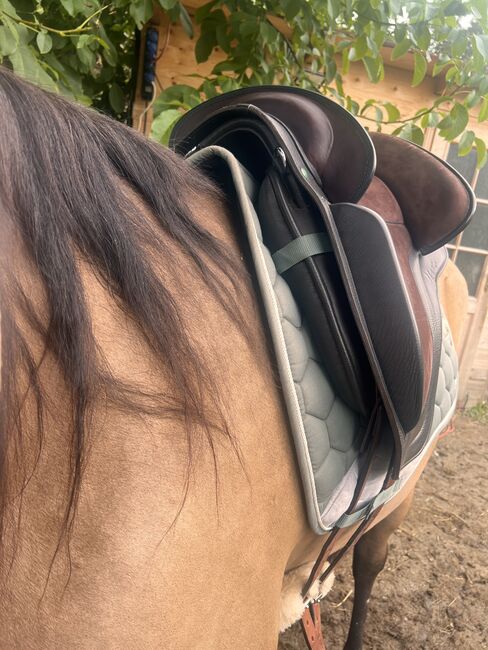 Ludomar Venus Flexible, Ludomar Venus flexible , Isabel, Baroque Saddle, Tulln, Image 8